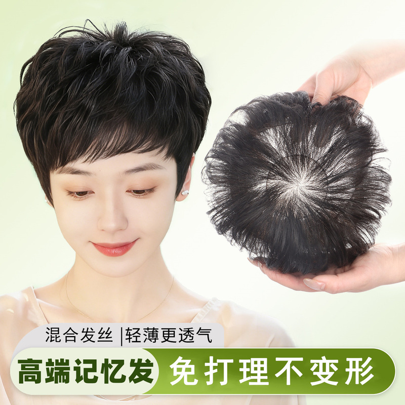 Women's Full Head Wig, Real Human Hair, Short Curly Hair, for Middle-Aged and Elderly Mothers, High-End Mixed Natural Memory Silk Wig