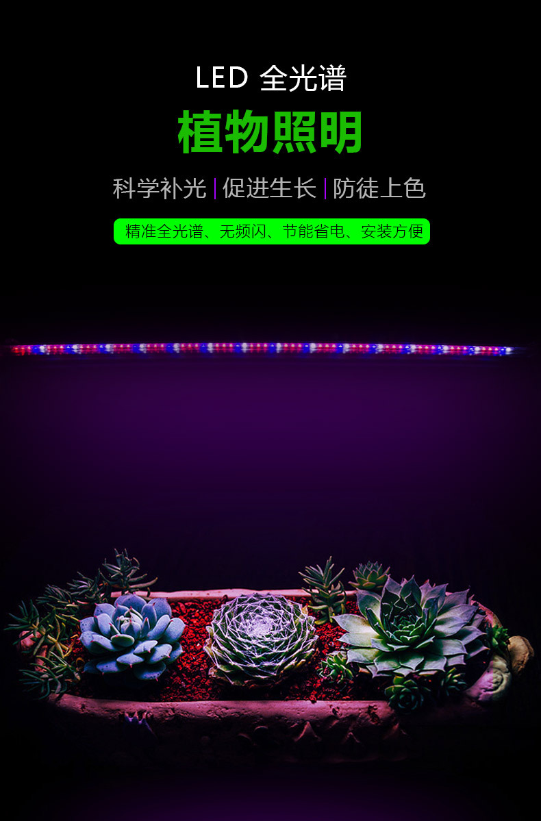 植物灯_06