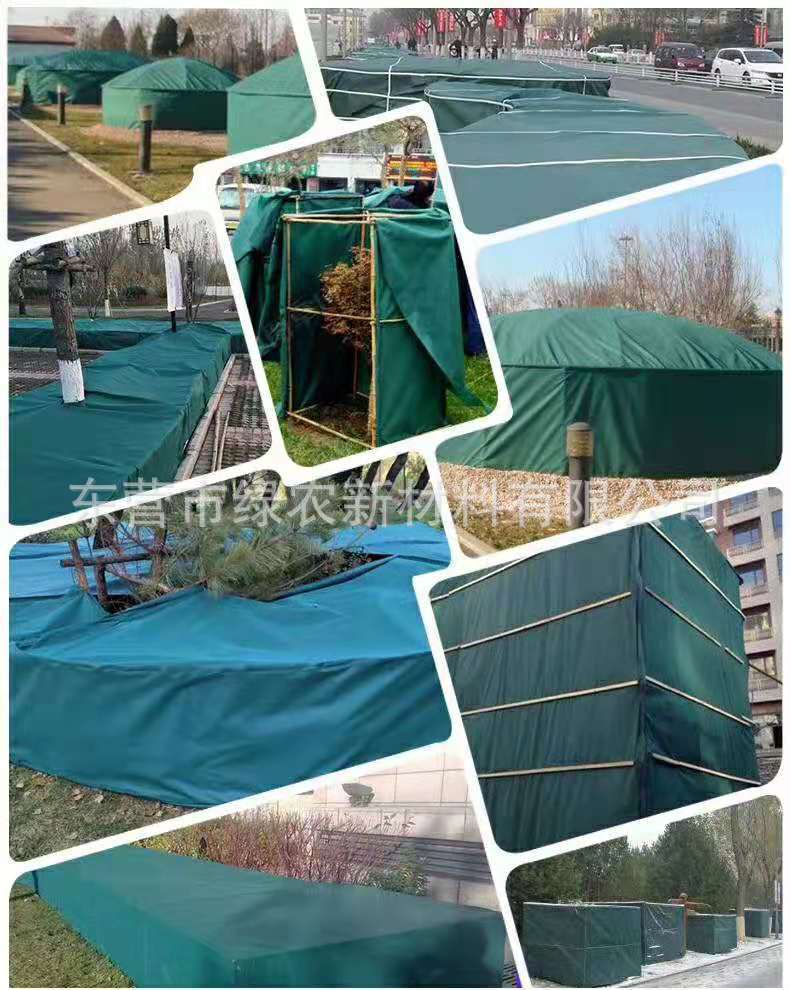 13010420289_1156067305