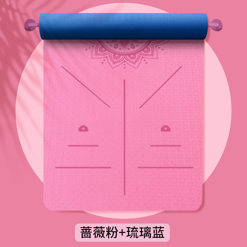 로즈 핑크 + 글레이즈 블루/자세 라인