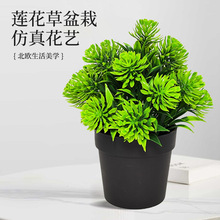 ����ֲ����������Gֲˮ�ݔ[�������b�С������ٻ�ɏ��������