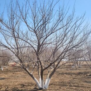 ����Ԫ���� ������Ǘ�  Ԫ�������� ��Ǘ��r��  �����