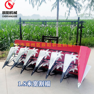 �����Cǰ�ø��C�����C֥��������׸����ն��ո�C