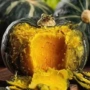 山东潍坊新鲜宝宝蔬菜