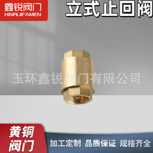黄铜 立式止回阀   内螺纹弹簧止回阀 DN15DN20DN25防回流