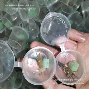 ��������з����С�з�^�pз���l����з��ˮз����з��*������