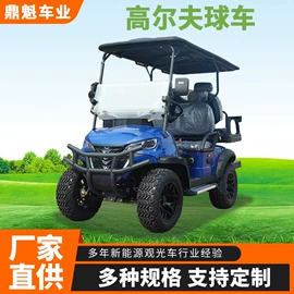 电动观光车;其他电动车;高尔夫球车
