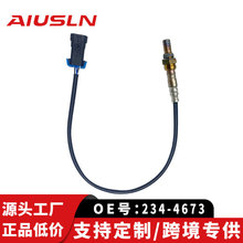 234-4673 ������ѩ������������������� ǰ/���������� �羳����