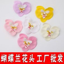 �����������m���滨��������������b���Ϸ������^�߷���ٻ�