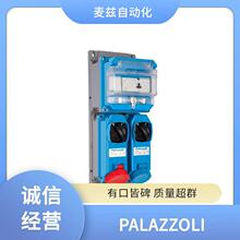 PALAZZOLI ����� �������� PT1192405E ���ع�Ӧ