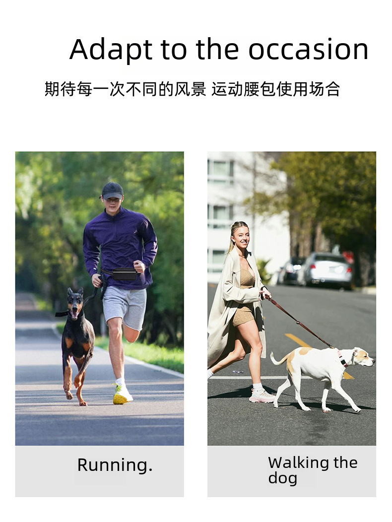 Pet Leash Image 5