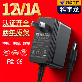 厂家现货12v1a电源适配器 中美欧日规加湿器路由器5v2a认证适配器