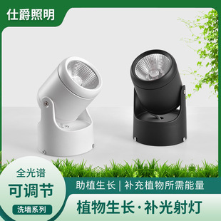 Full Spectrum Surface-Mounted Macaron Universal Adjustable Plant Fill Light Imitation Sunlight Wave Fill Light Indoor Plant Lighting