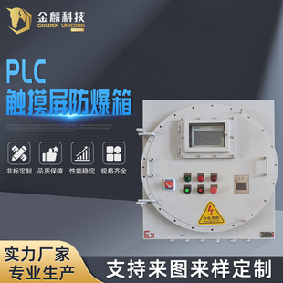 Hydrogen generator equipment PLC touch screen explosion-proof box control box overhaul socket box switch electric control cabinet junction box