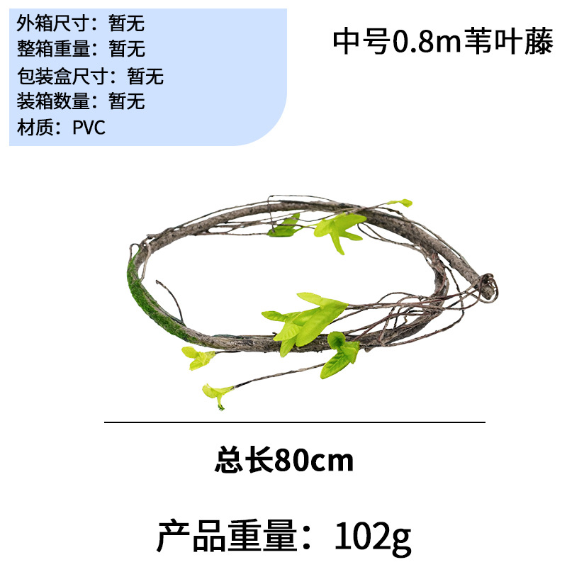 중간 크기 0.8m 갈대 잎 덩굴