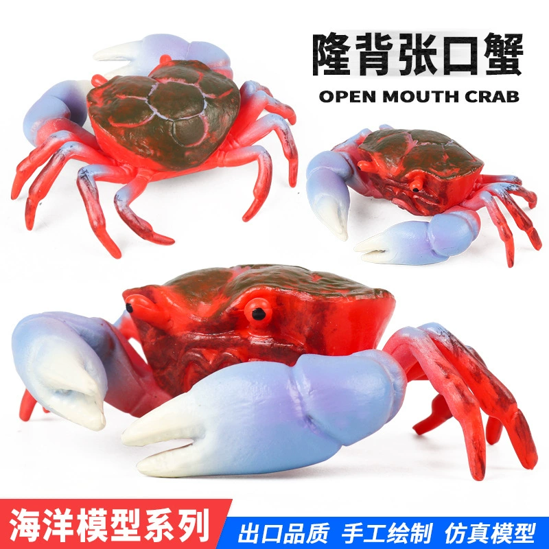 Модель crab/crab king crab трехточечная, имитация реальной жизни морского животного, открытая спина, искусственный рот, детские познавательные игрушки-украшения