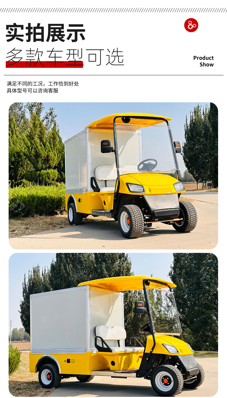 2-Seat Electric Golf Cart Scenic Tourist Sightseeing Car Food Delivery Car Electric Golf Cart
