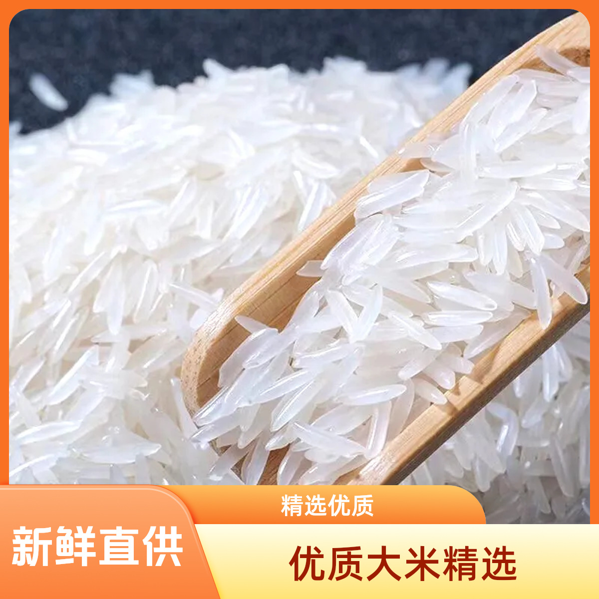 [Southern Rice] New Rice Farm Rice Fresh Fragrant Rice Silk Seedling Fragrant Rice Jasmine Fragrant Rice Cat Tooth Rice Pot Rice