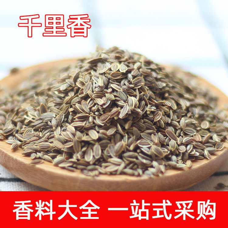 千里香批发 散装莳萝籽香料川菜卤制烧烤调味香辛料支持一件代发