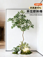 �҃ȷ���Gֲ�쾰���������L�l���P΢���^�b��ݔ[��