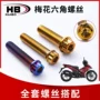 外六角花式定制金色螺钉