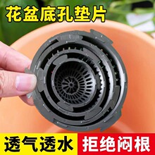 ���⻨��©�W��©��������͸����ˮ�F�ε׉|�׉|�@ˇ����|��