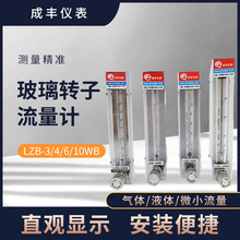 常州成丰玻璃转子流量计LZB-3WB/LZB-3WBF气体液体防腐浮子流量计