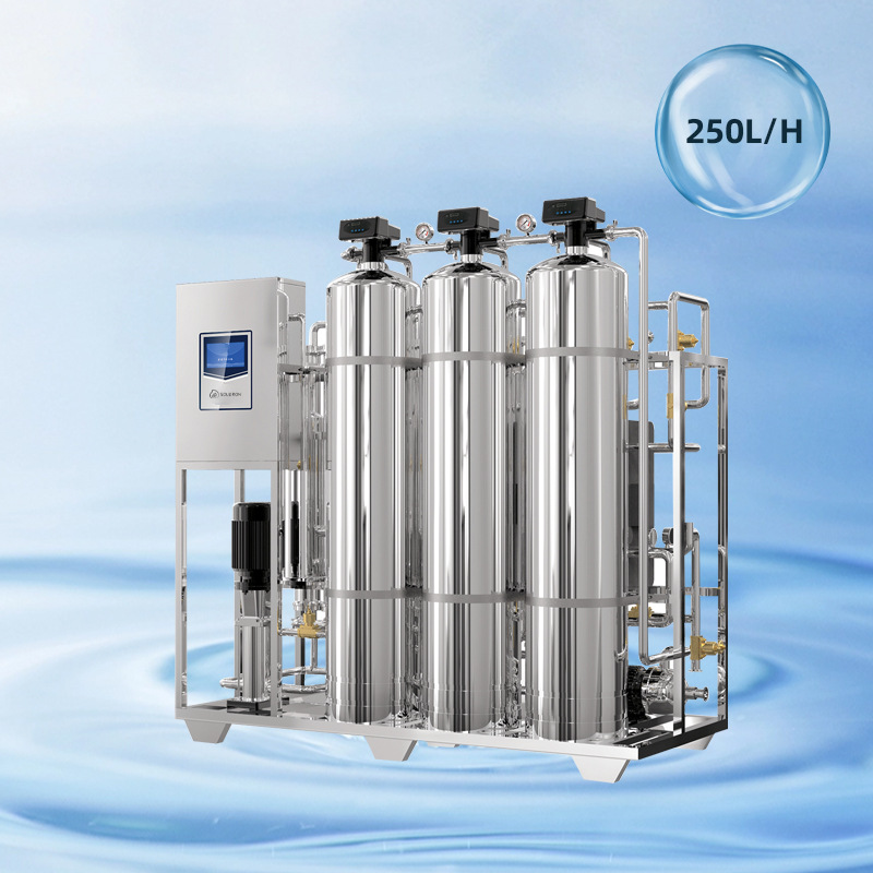 0.25T/小时 双级反渗透净水设备+EDI设备 七级过滤净水设备