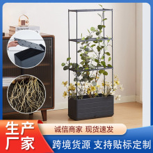 �羳�Nֲ�����ټܷN�����߲��̨���䎧�h�ʖř������S��������