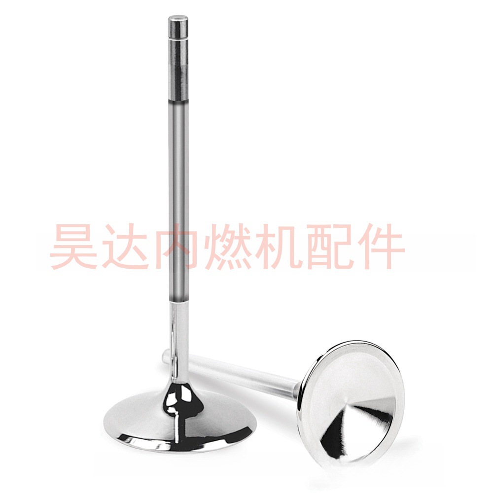 厂家直销A级现货 发动机进排气门 五十铃8971371540 8971371551