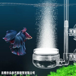 �羳���u�~��ˮ���������ÿ՚⼚����������͸���o���͉���P���