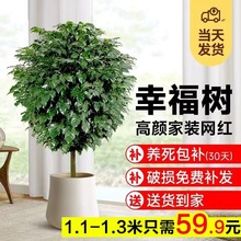 �Ҹ���͏d���Դ�����Gֲ�Ϙ����U�G���lؔ�����k���҃Ȼ����辰