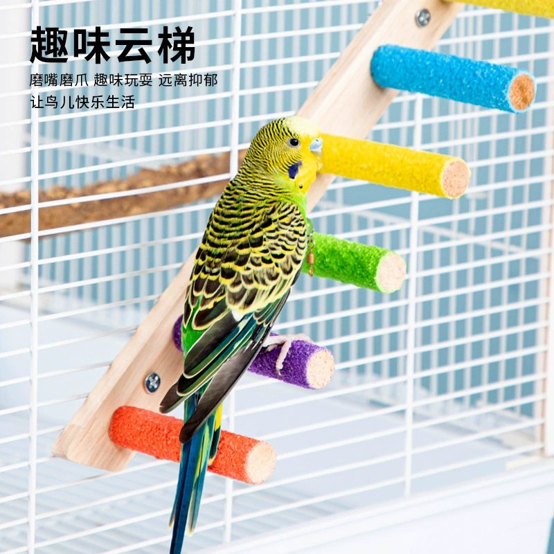 Toy, ladder, interactive swings with accessories, can climb