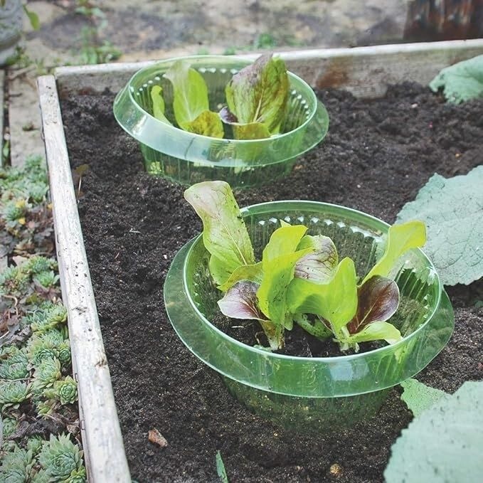 厚みのある野菜保護カバー、カタツムリブロック、丸型害虫防止農業保護、野菜保護用の緑色の透明な植物カバー|undefined