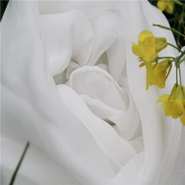 丝巾;缎类;其他丝绸面料