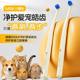 牙刷;舌苔清洁器;口腔清洁