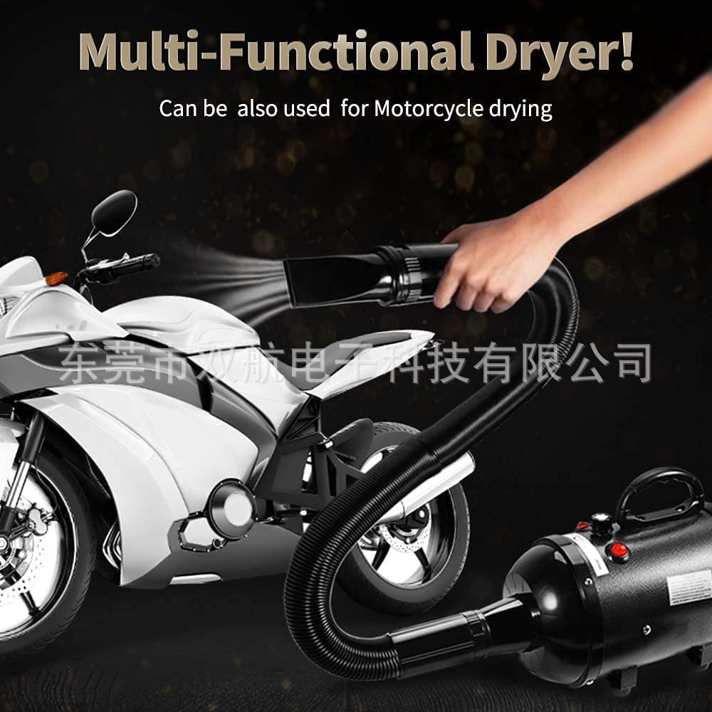 61iTJL1cEXL._AC_SL1000_