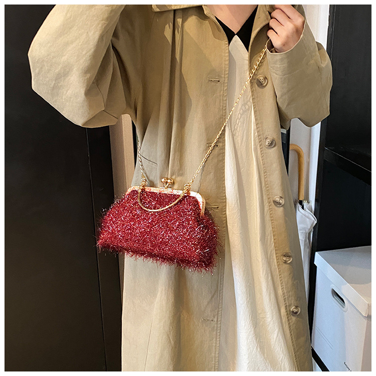A trendy and fashionable women's 2024 autumn new chain crossbody bag, a Korean-style hand-held shell bag undefined