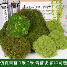 仿真苔藓假青苔草坪 橱窗植物墙装饰微景观植绒草皮家居软装绿植