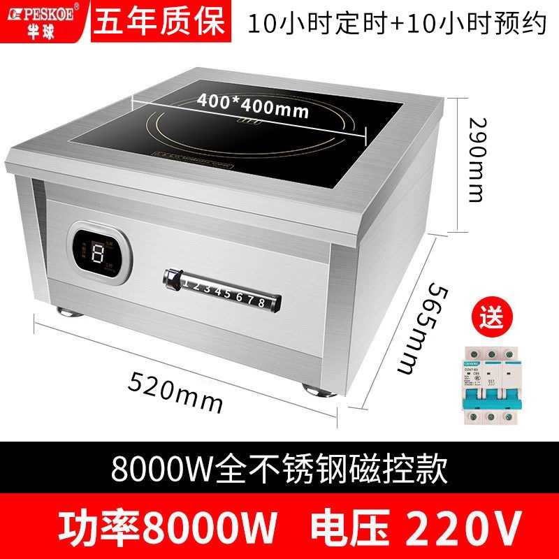 [220V] 8000W 플랫 올스틸 대형 바디(본체 내하중 175kg )