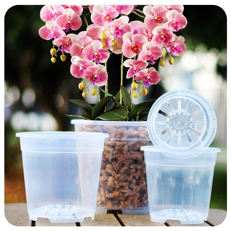 Высокопрозрачный жесткий пластиковый цветочный горшок фаленопсис выращен мясистый орхидея