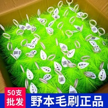 Ұ��ëˢ�~���^�V�����^�V���\���������坍ˢ304���P�ʮ��ë�z