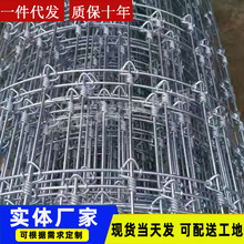 ȫ䓳����i�o��ţ�ھW�BֳȦ��䓽z���ڭh����Ȧ�B���o�W�B¹���W