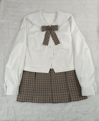 Brown and blue striped eight-box pleated --- small tea brown same grid Japanese orthodox JK uniform skirt half skirt positioning line 2 length