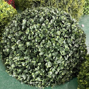 ����Gֲ���w�ړ��b�Ʒ�Gֲ�������~�S��÷�����b����m����