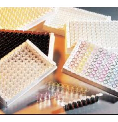 96孔聚苯乙烯Stripwell®微孔板-表面修饰Stripwell透明微孔板