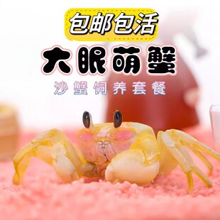 ���Aɳз����зɳз���挙������з���ˌ���ľ�з���Bҹ�Д[��