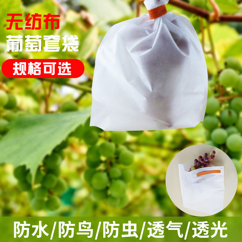 无纺布水果袋 水果可用防鸟透气袋 无纺布葡萄包装袋水果套袋