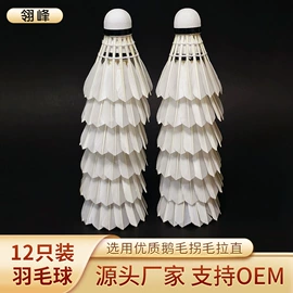 羽毛球