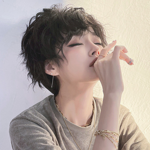 Wig female comics real short hair tinfoil permed celebrity full headgear natural fluffy neutral full headgear can be wholesaled